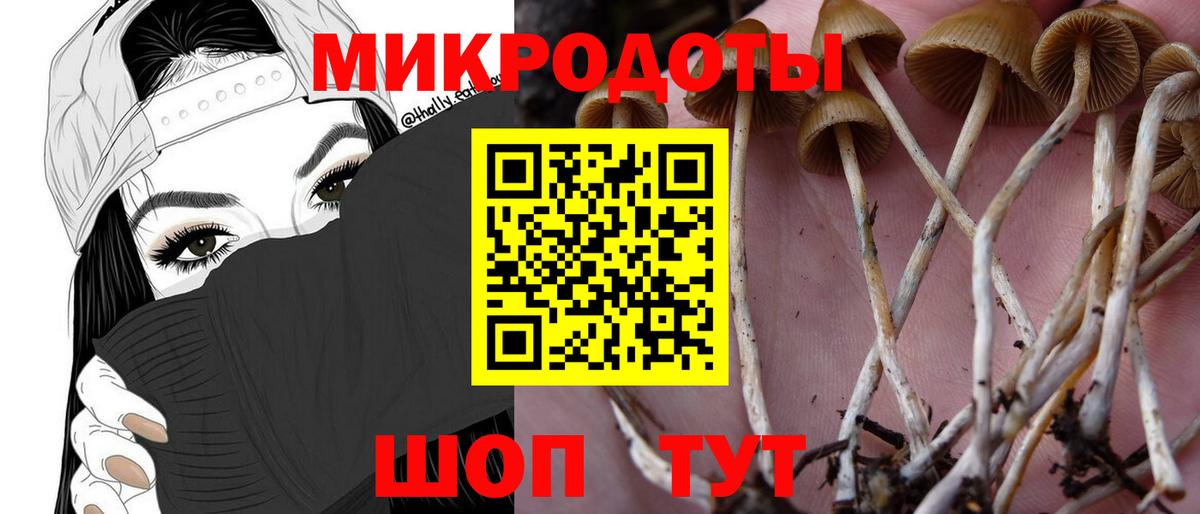 Псилоцибиновые грибы мухоморы  Вход с VPN  Бирск 