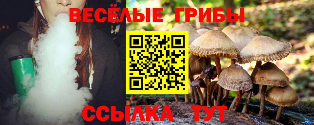 Галлюциногенные грибы Cubensis Бирск